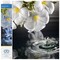 Diamond Dotz Water Droplet Diamond Painting Kits for Adults - Diamond Art Kits a Relaxing Creative Craft Kit with Dotz Gems 14x13